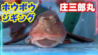 【庄三郎丸】ジギングホウボウ釣り　相模湾