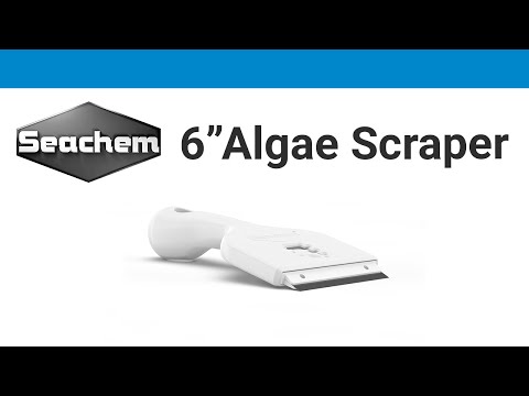 Seachem's Smallest Algae Scraper