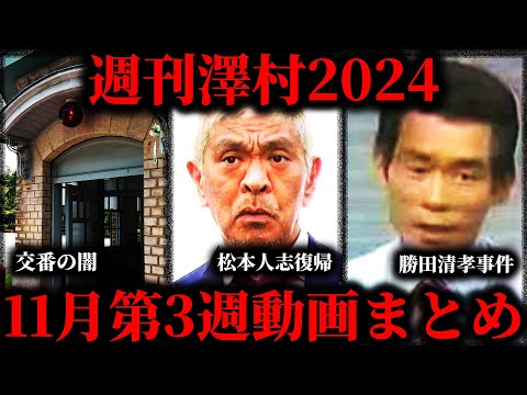 【週刊澤村2024】11月第3週たっくー動画まとめ【たっくー切り抜き】