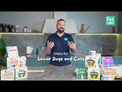 Diets for Senior Pets | Does my senior dog need special food?