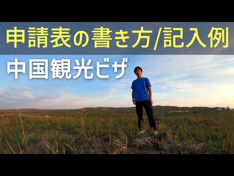 【完全解説】中国観光ビザの申請表を0から一緒に作ります ※固定コメントに貼っている最新版を見てください