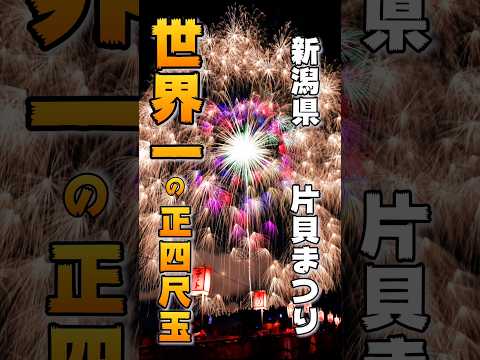 圧巻！！世界一の正四尺玉！！新潟県の片貝まつり。#shorts #fireworks #四尺玉