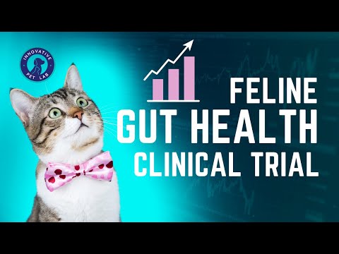 Feline Gut Health Clinical Trial Launch | Two Crazy Cat Ladies