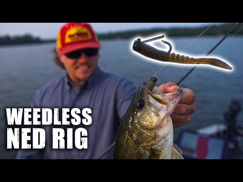 Ned Rigging Largemouth Tips (Weedless Nedster)