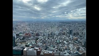 Japan - Tokyo - Lunch and Bird View at City Hall