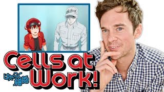 Real DOCTOR reacts to CELLS AT WORK! Anime review