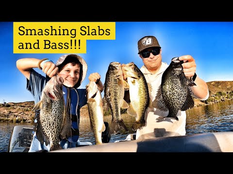 Smashing Slabs & Bass!-Castaic Lake