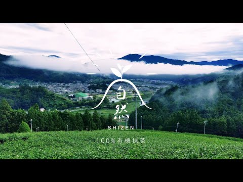 SHIZEN -自然-　静岡川根100%有機抹茶