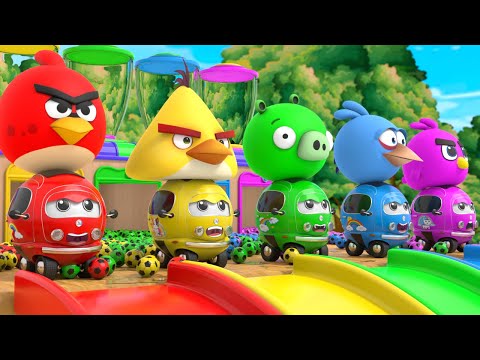 Angry Bird & Cars - Let's Fun with Cars and Slides!