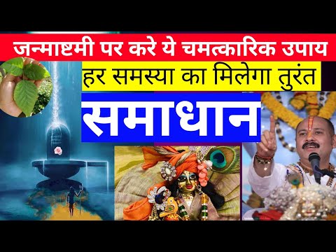 बेल पत्र से करें ये उपाय , हर समस्या का मिलेगा तुरंत समाधान |#janmashtami2022