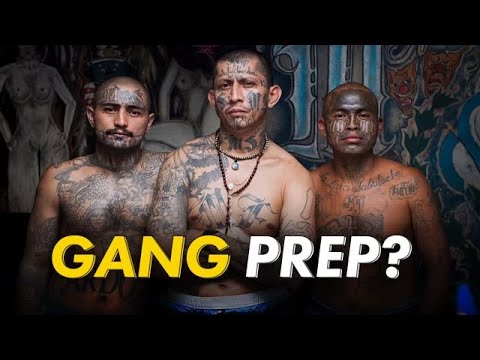 Gang Starter Set | Tribes will SURVIVE!