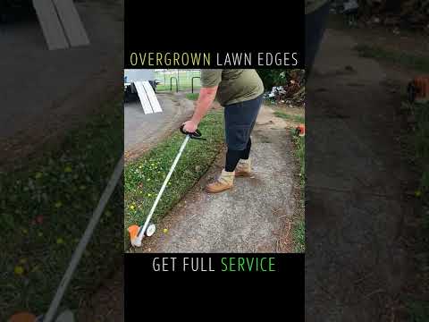 OVERGROWN Lawn Edges Given The FULL SERVICE Clean Up