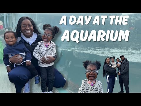 MY TODDLERS FAVORITE PLACE IN SEATTLE: EXPLORING THE SEATTLE AQUARIUM| MEDICAL NEEDS|MAMA OF TWO