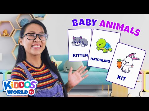 Let’s Learn The Baby Animals Names | Teaching Fun Facts About Baby Animals for Children