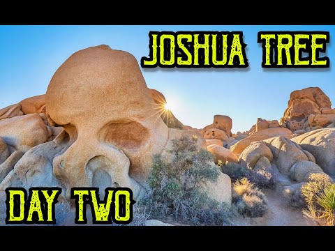 JOSHUA TREE DAY 2 // HOT OUT IN THE DESERT 🏜 // SKULL 💀 ROCK