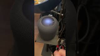 My Evil HomePod. Dec 29 24. Just showing what Apple thinks if okay. Lame, DONT BUY! #apple #homepod