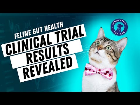 Feline Gut Health Clinical Trial Results with Innovative Pet Lab