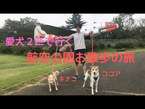 愛犬ココアとキナコが行く航空公園お散歩の旅