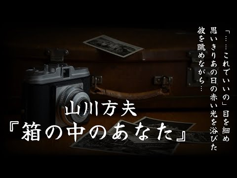 【朗読】結末にゾッとする『箱の中のあなた』山川方夫【睡眠導入、読み聞かせ、サイコホラー】