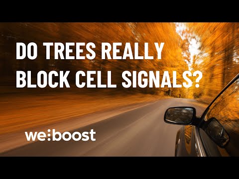 Do Trees Really Block Cell Signals? | weBoost