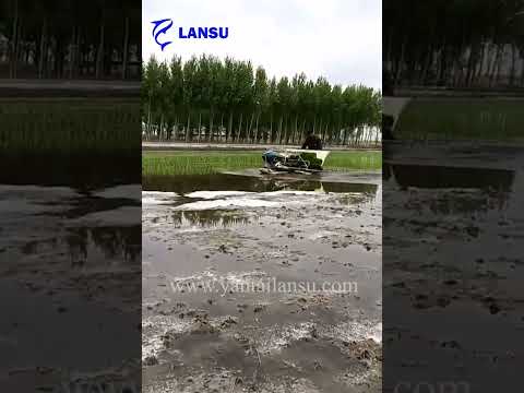 Walking behind rice transplanter