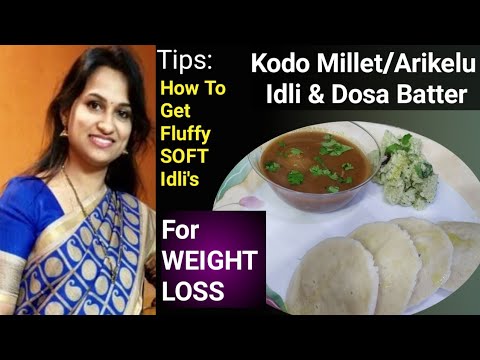 Arikelu Idli Dosa Batter | అరికెల పిండితో soft sponge Idli | kodo millet for weight loss