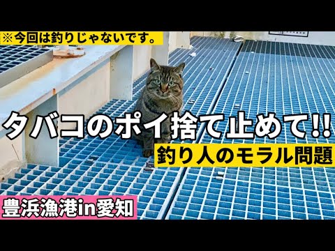 豊浜漁港に溢れるゴミがひどい