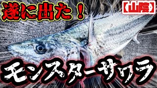 【ショアジギング】空を舞う衝撃的バイト！遂に人生初サワラを釣りました！【山陰】