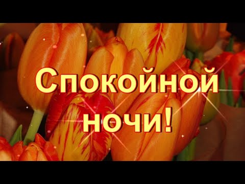 Спокойной ночи! Нежных снов!