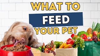 Why They Confuse You About What to Feed your Pet