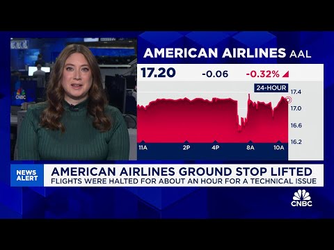 American Airlines lifts ground stop after flights were halted for a technical issue