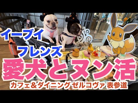 愛犬と イーブイフレンズアフタヌーンティー 【 フレンチブルドッグ french_bulldog 】 表参道ゼルコヴァ