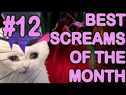 BEST SCREAMS OF THE MONTH | part 12 | April 2024 #gavisbettel #holotempus