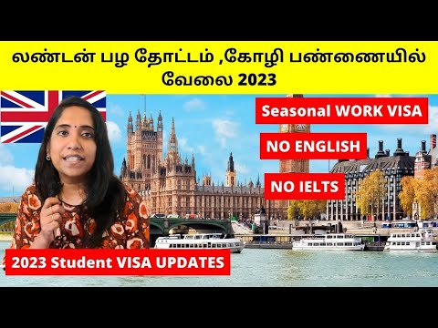 லண்டன் பழ தோட்டம் ,கோழி பண்ணையில் வேலை 2023 | Seasonal Work VISA, STUDENT VISA LATEST #londontamil