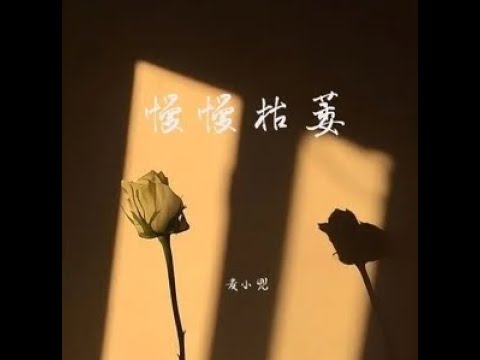 慢慢枯萎 - 麥小兜