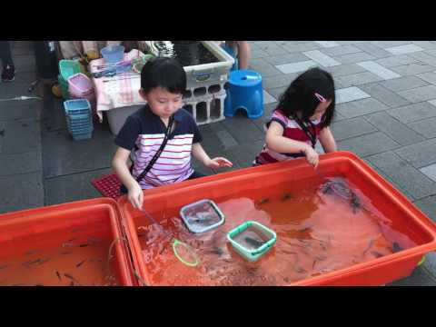 Taiwan's Jinshan Street fishing fun