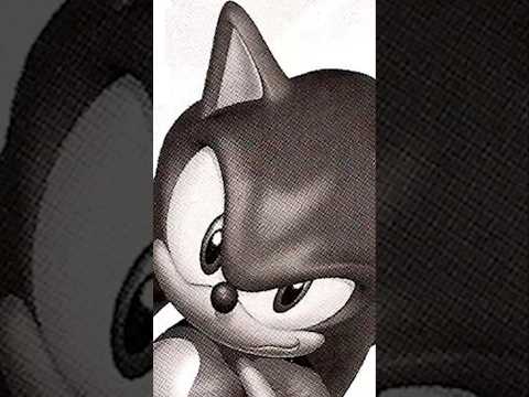 The Only Thing Sonic Hates