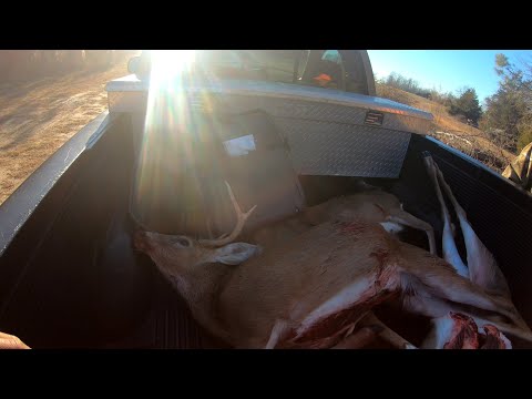 Deer Hunting With Dogs!! The Lost Files 2024!!