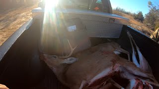 Deer Hunting With Dogs!! The Lost Files 2024!!