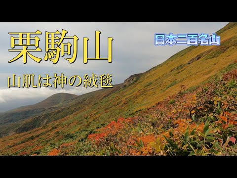 【栗駒山】（神の絨毯）