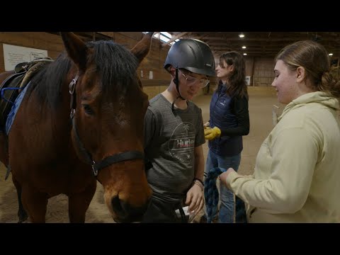 10thirtysix | Segment | EquineTherapy