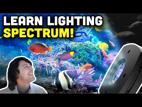 Discussing Light Spectrum in Our Reef Aquariums!