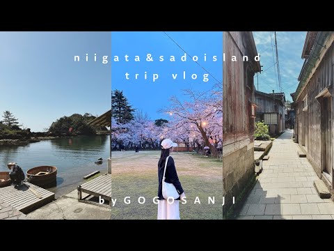 ［ vlog ］春の新潟&佐渡旅行2泊3日🌸 | お花見 | 佐渡金山 ⛰ | 日本海グルメ🍣 | オーシャンビューホテル | たらい舟