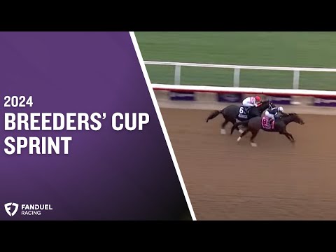 $2 million Breeders’ Cup Sprint (G1) at Del Mar 2024