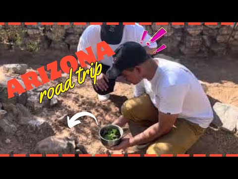 [VLOG] 😈 Halloween Horror Nights | Fed a tortoise 🐢 | Desert Botanical Garden in Phoenix, Arizona