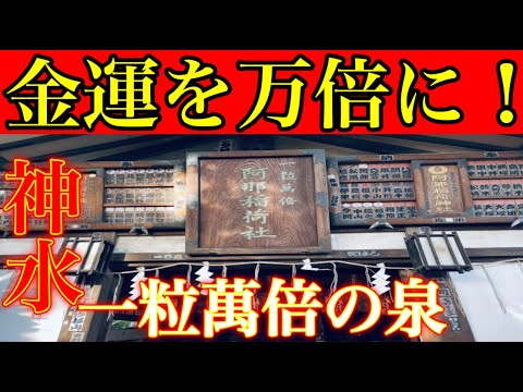 ⚠️怖いくらい金運爆上げ⚠️最強パワースポット金運上昇一粒萬倍の泉で人生が変わる！『品川神社』