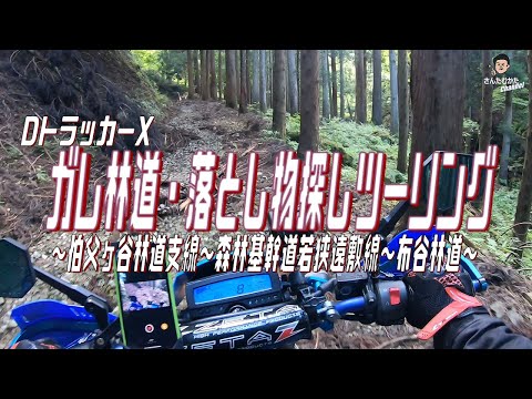 【DトラッカーX #137】ガレガレ林道で落とし物探索。果たして見つかったのか。伯父ヶ谷林道支線～森林基幹道若狭遠敷線～布谷林道～【若狭】【福井】【林道】