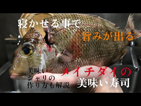 夏美味しくなる魚【メイチダイ】熟成させて寿司を作る　自宅で作れるようシャリの作り方レシピも公開