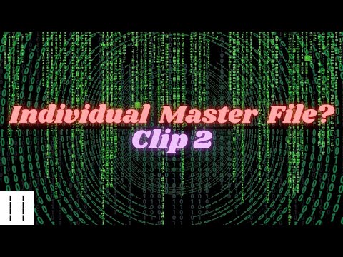 Individual Master File, Death Master File, CAFR Clip 2  CUSIP