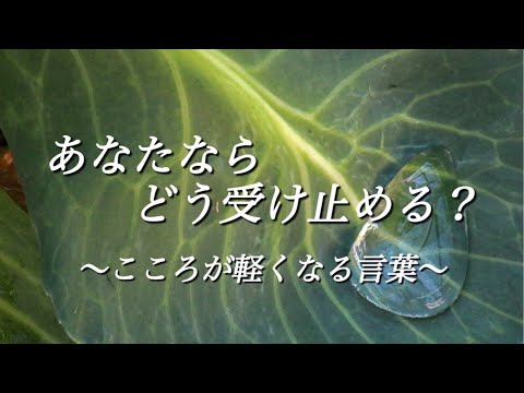 【心が軽くなる言葉】#言葉  #motivation #メンタル